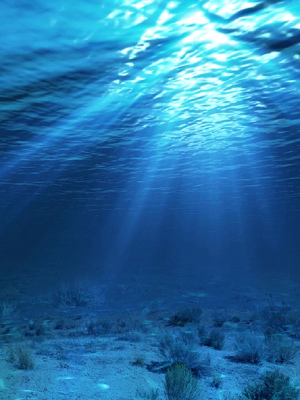 Los datos del nivel del mar confirman ‘cambio climatico’