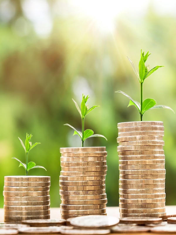 La ‘economía verde’ de este siglo