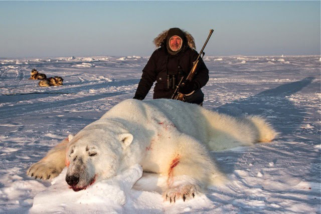 Resultado de imagen para extincion de animales