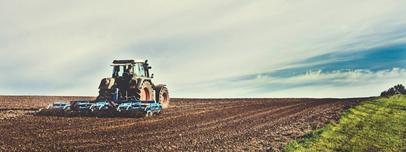 Las bacterias aliadas del agricultor