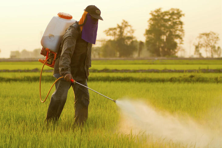Pesticidas: cada vez más tóxicos