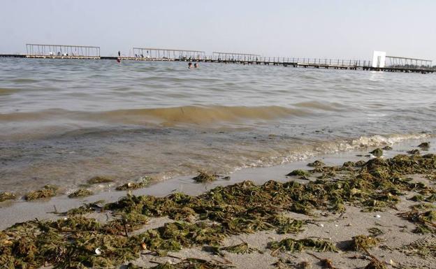 mar menor recuperacion