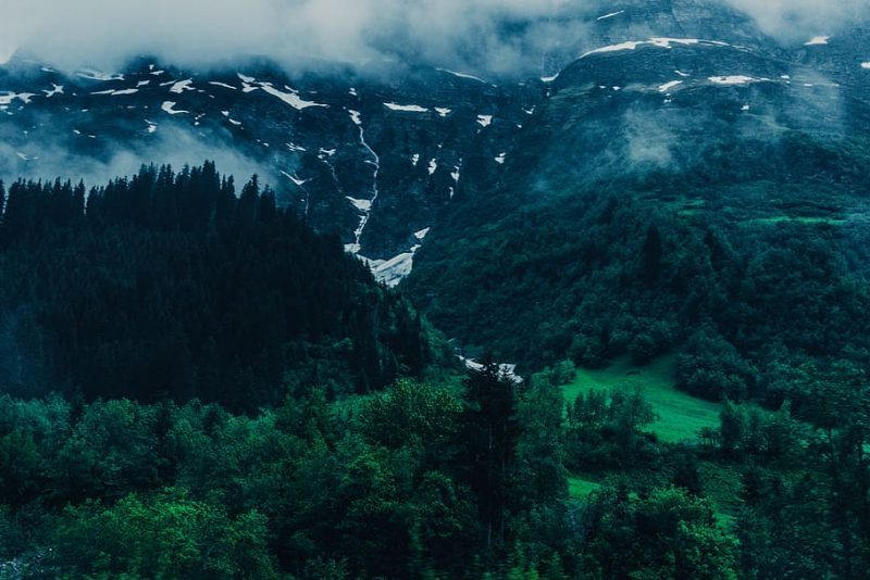 Lista Roja de Ecosistemas