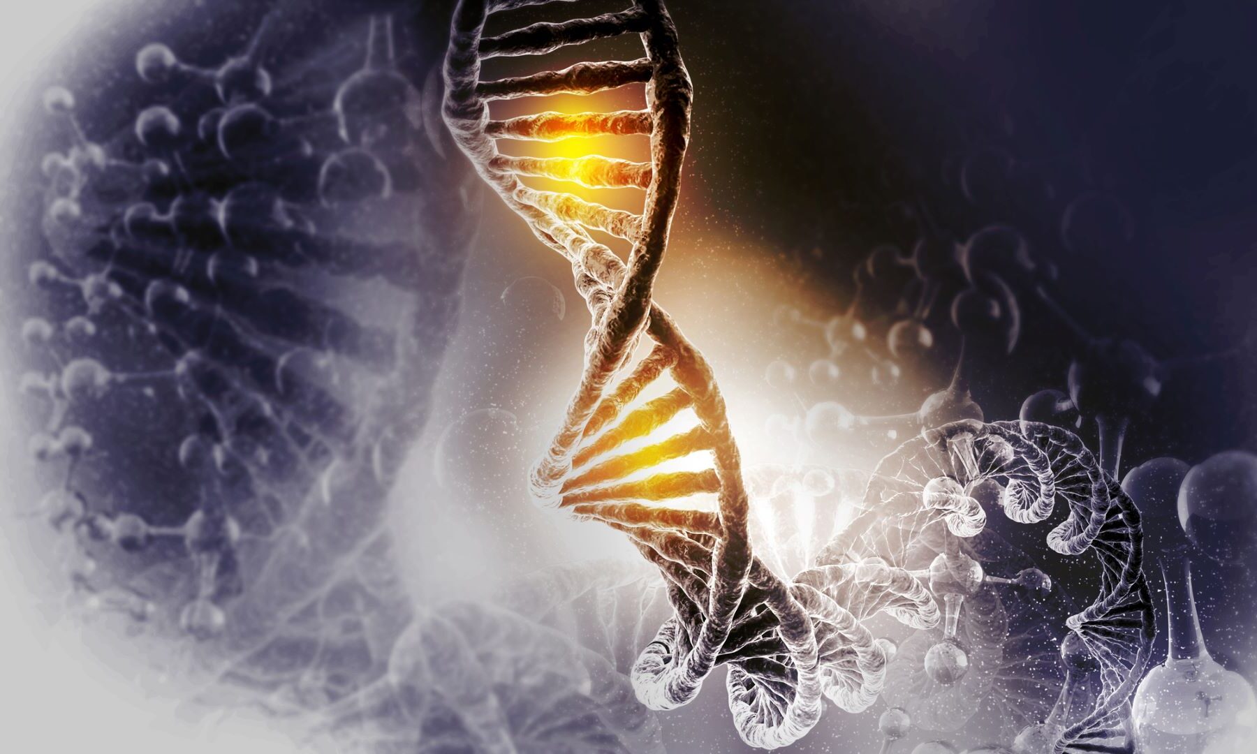 Evolución natural versus evolución programada