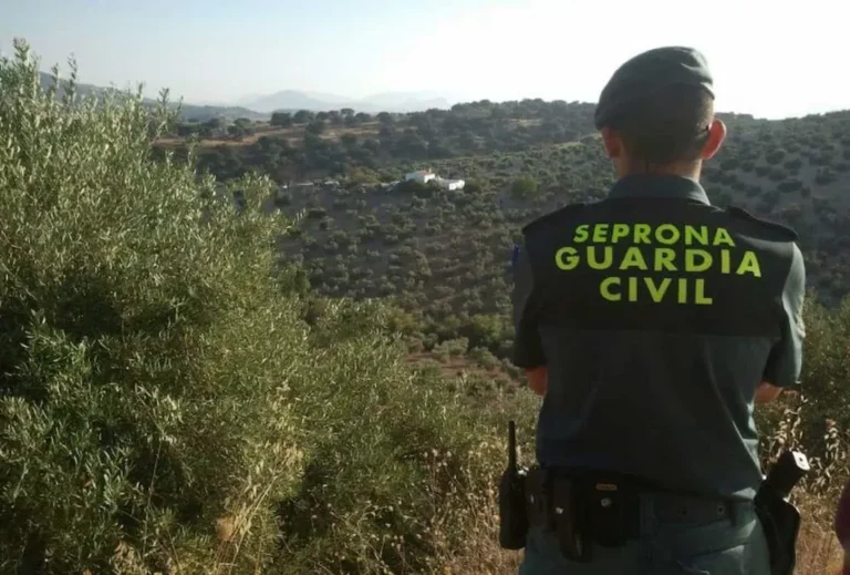 ¿Qué es el SEPRONA?