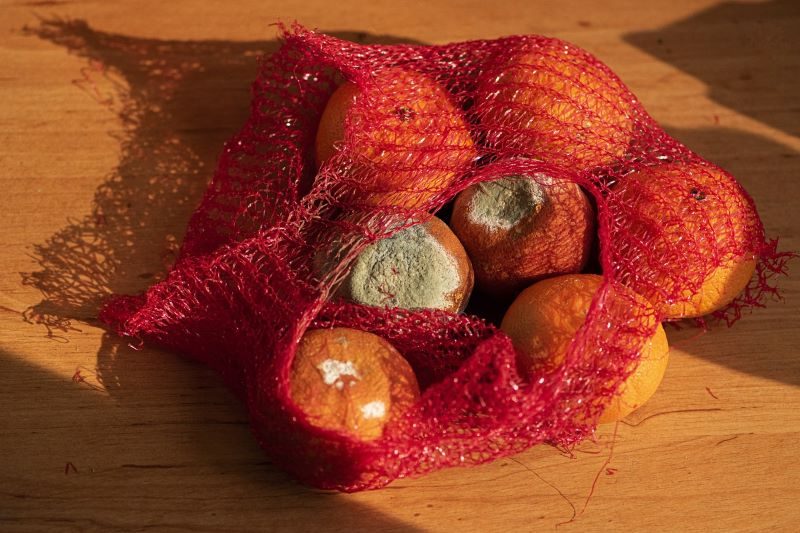 Qué es el desperdicio alimentario y como evitarlo