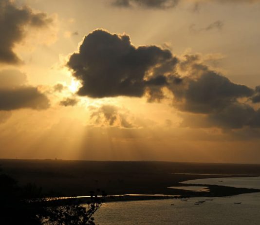 Socotra: el lugar más extraño del planeta
