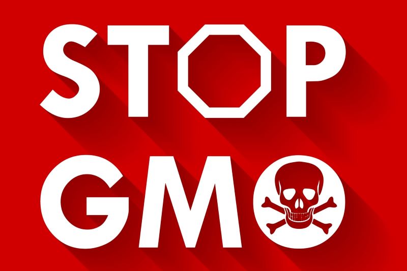 10 razones para evitar los alimentos transgénicos