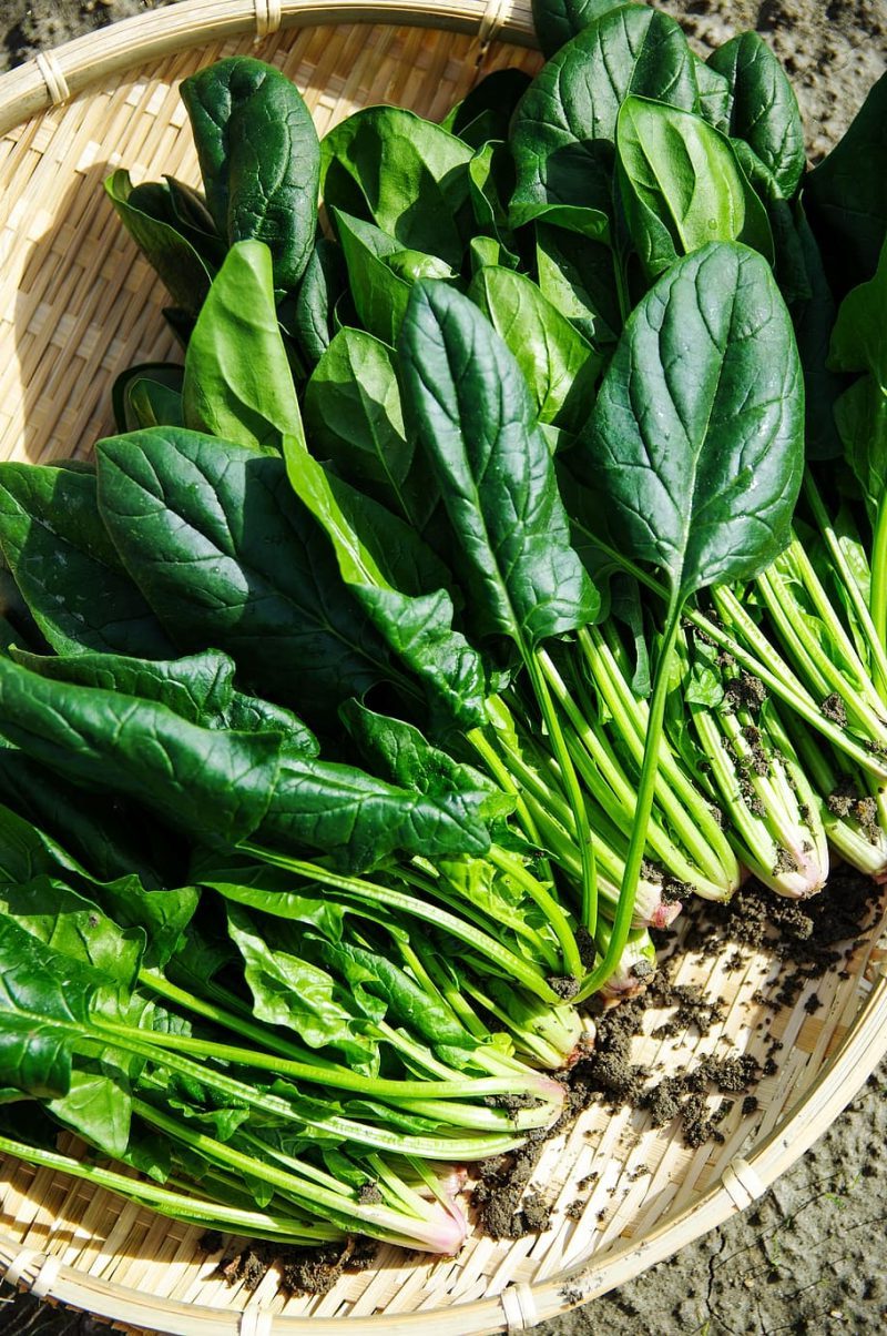 vegetables spinach green delicious e1685530086781