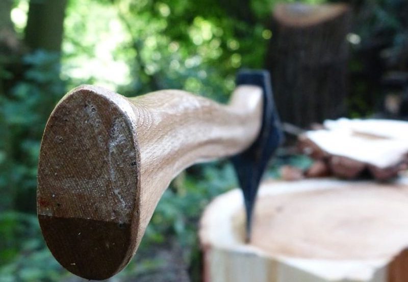 impacto de la madera en el medio ambiente