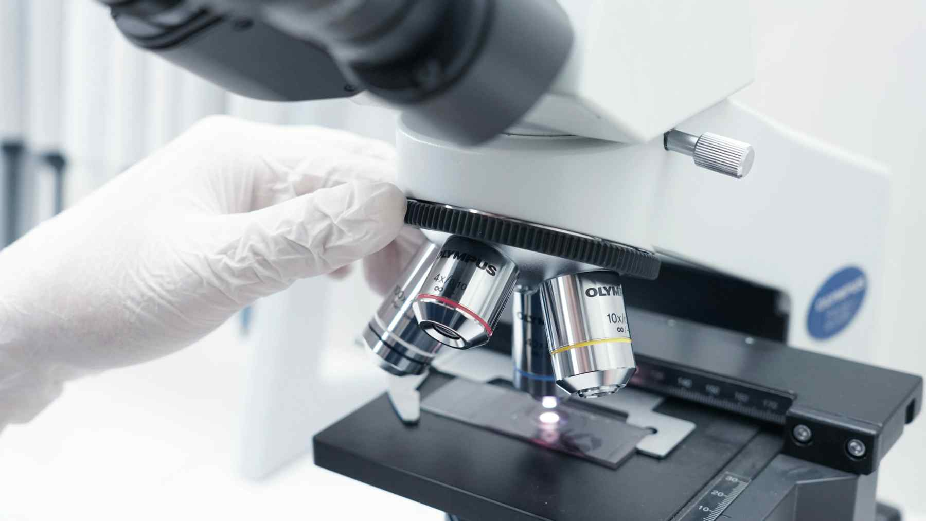 Microscopio en laboratorio para análisis y control de calidad, relacionado con inspecciones y trazabilidad