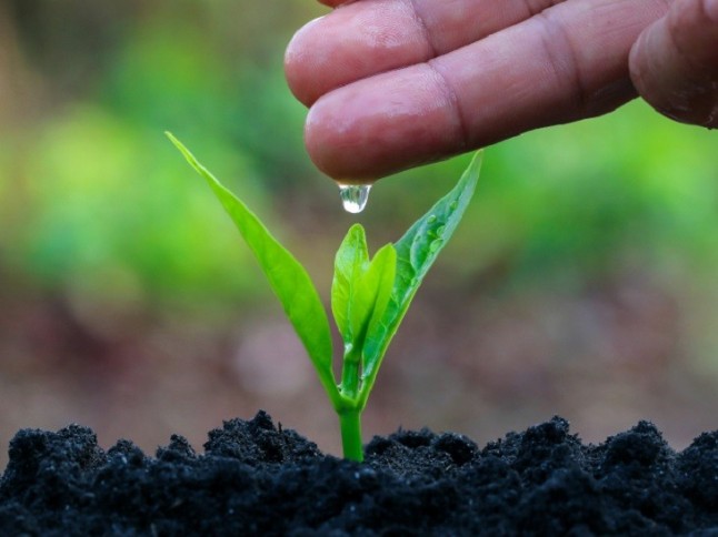 Ecologistas reciben con esperanza el nombramiento de Hugo Morán como secretario de Estado de Medio Ambiente