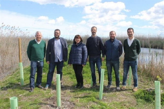 Miles de plantas para la ribera en SAlbufera