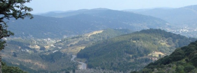 La singularidad ambiental de Gogorrón y la Sierra de San Miguelito