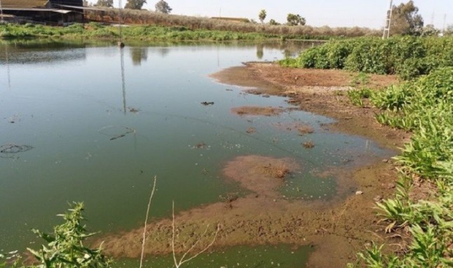 Vertido de purines en la urbanización "La Ruana-Pinos del Nevero"