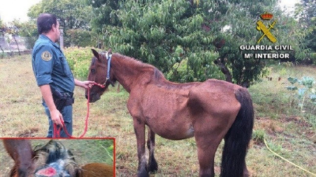 Seprona tramitó 1.600 denuncias e investigó 151 delitos en Pontevedra en el 2017