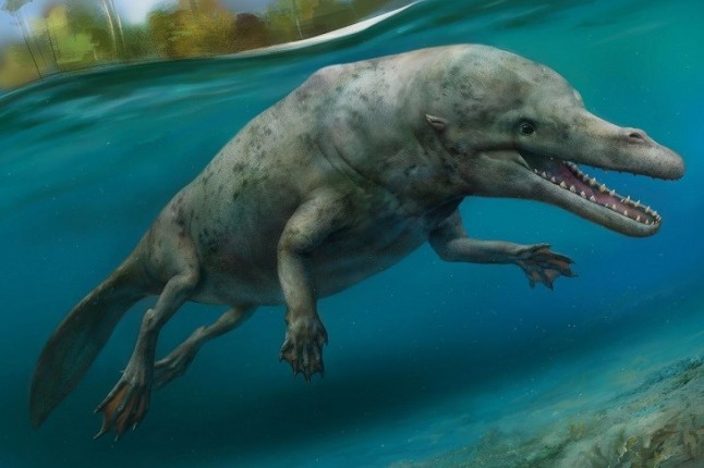 Cocodrilos se hicieron pasar por delfines hace 180 millones de años