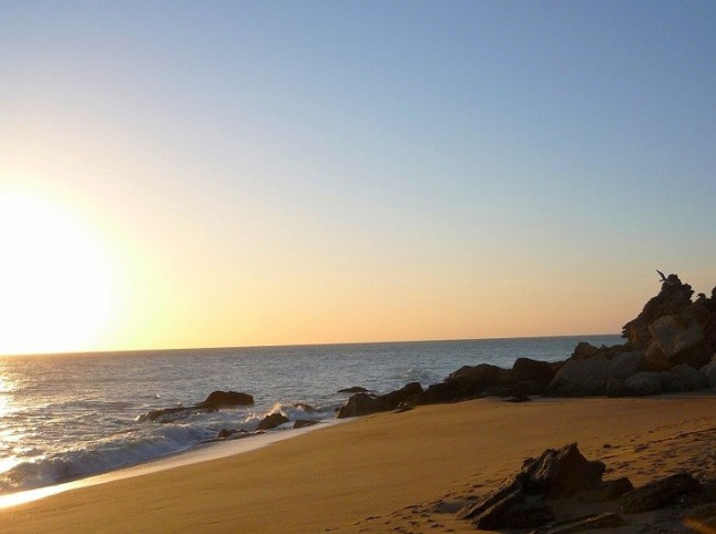 WWF trabaja en la conservación del Cabo Roche