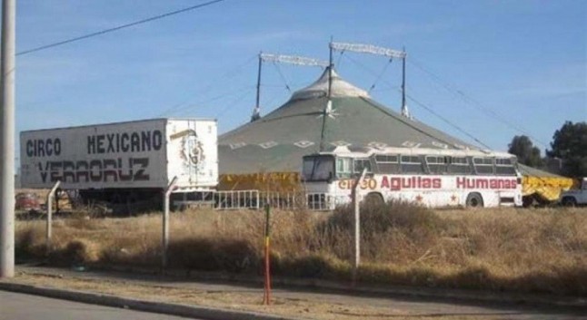 Argentina: Por primera vez el dueño de un circo que maltrató a tigres irá a juicio
