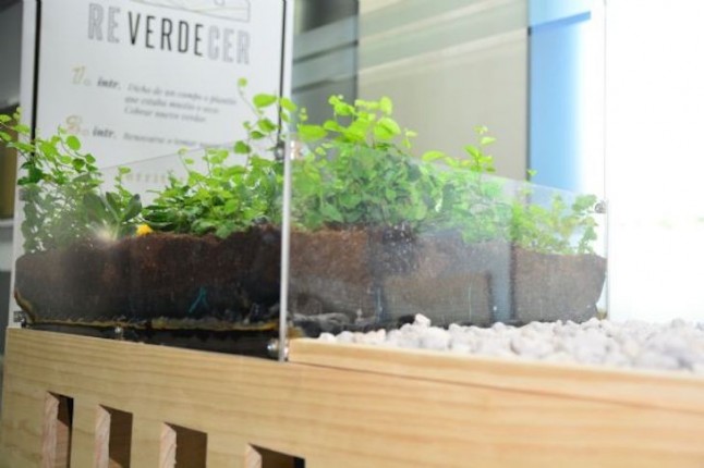 Arquitectos de UPCT proponen plantar vegetales en tejados para bajar el CO2