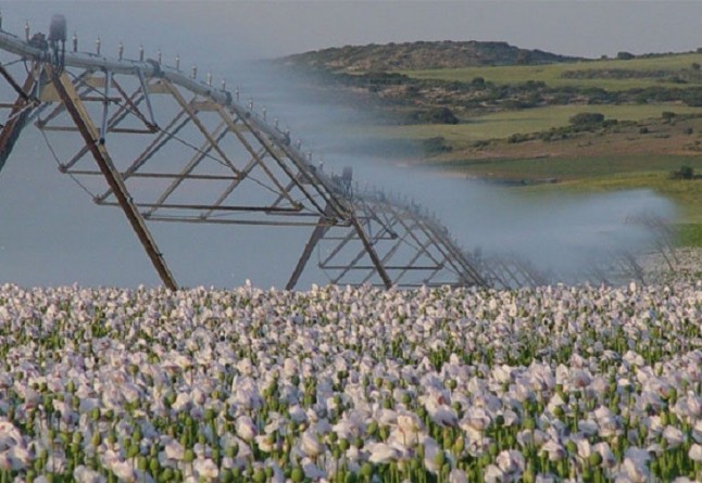 Los inasumibles riesgos de sobreexplotar más los acuíferos de Castilla-La Mancha