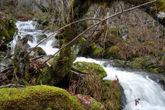 Ecologistas en Acción pone en marcha talleres y charlas destinados a dar a conocer las reservas naturales fluviales
