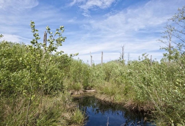 Innovadora herramienta para descubrir ecosistemas en riesgo de extinción