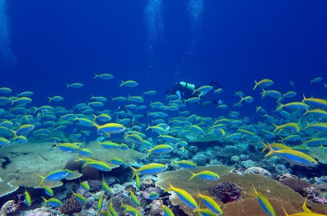 El Gobierno destina 25