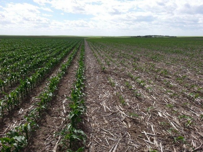 Los suelos agrícolas catalanes contienen tanto carbono como el que Cataluña emite en 4 años
