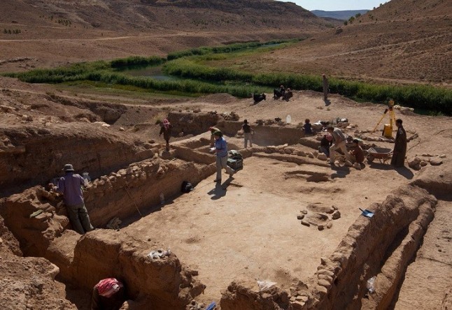 Evidencia arqueológica de domesticación del burro hace 4.700 años