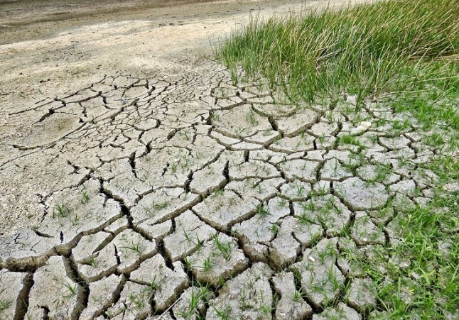 Ecologistas arremeten contra la Ley de Cambio Climático andaluza