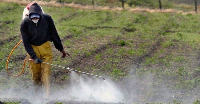 Formaliza Gobierno Federal integración de Grupo Intersecretarial para Regulación sobre Plaguicidas