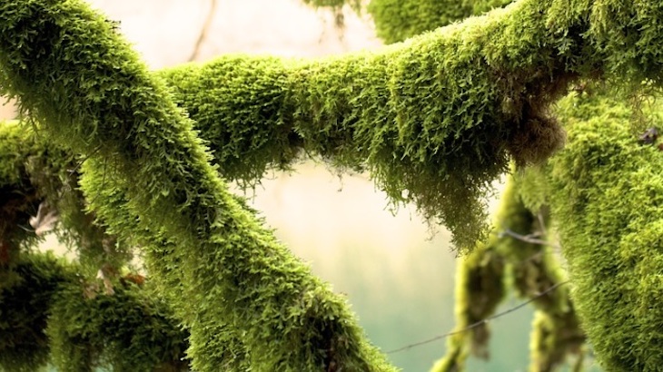 La simbiosis industrial cobra protagonismo en la consecución de una industria más verde y sostenible