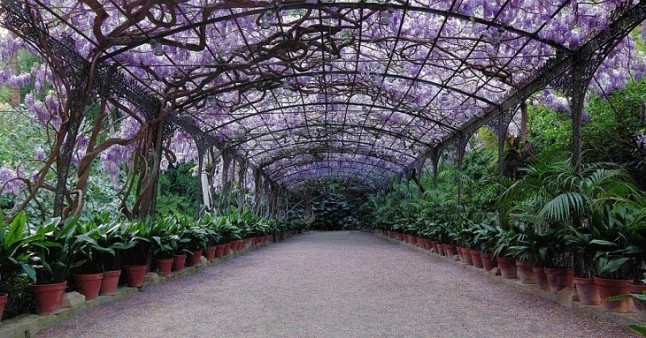 El Jardín Botánico de Málaga organiza un nuevo concurso fotográfico para elegir la imagen de su calendario de 2019