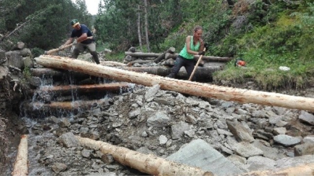 Los bosques de montaña del Pallars Sobirà necesitan 300 voluntarios para este verano