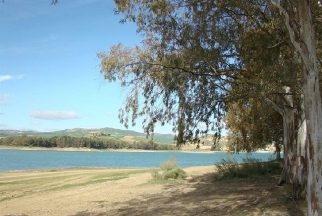 Los pantanos de la cuenca del Segura ‘al alza’