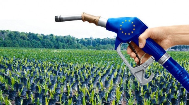 Unidos Podemos pon en Tela de Juicio el uso del aceite de palma como biocombustible en España