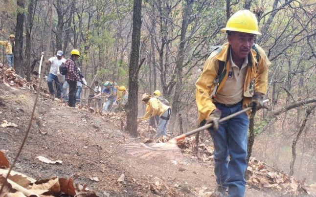Gobierno de México despliega más de 3