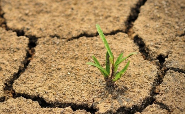 Lideresas por el Clima proponen convertir la Crisis Climática en Oportunidad de Transformación Económica