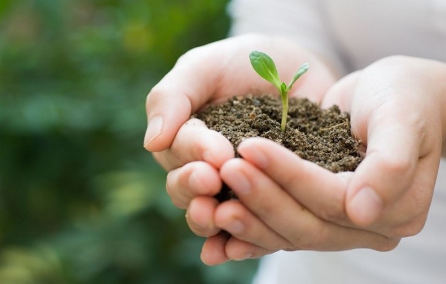 Cámara Zaragoza desarrollará un plan de mejora de la gestión ambiental de la industria