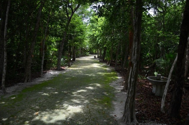Jardín Botánico de Puerto Morelos