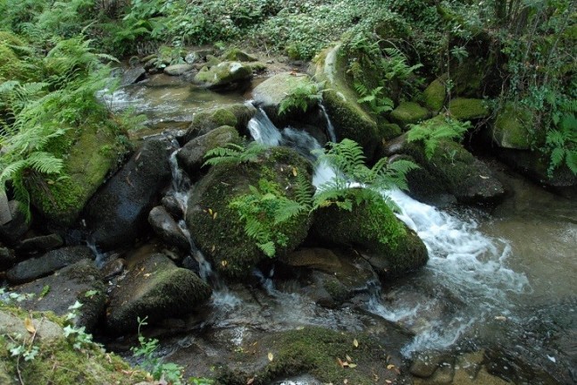Un curso de la UIMP abordará en Ourense los retos de futuro para el medio ambiente gallego