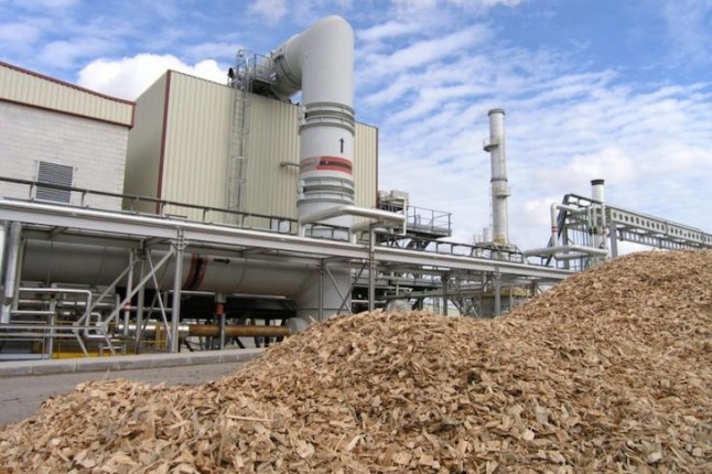 La biomasa aún podría incrementar su producción un 23%