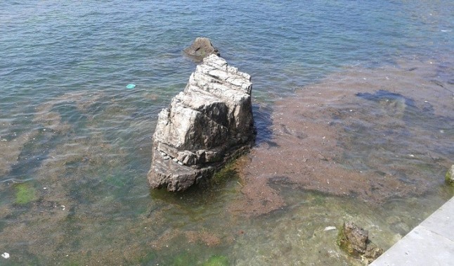Quién se responsabiliza de la contaminación del agua en Gijón