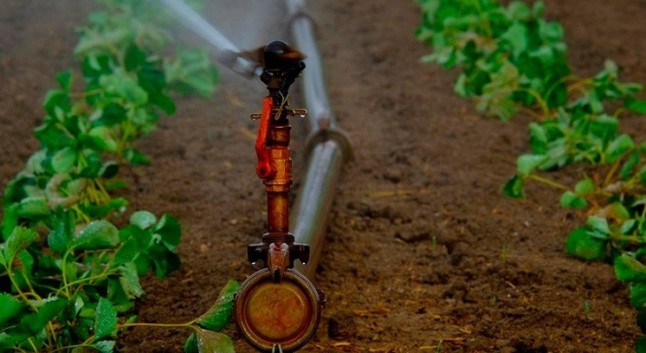 Científicos de México y Reino Unido optimizarán agricultura de riego