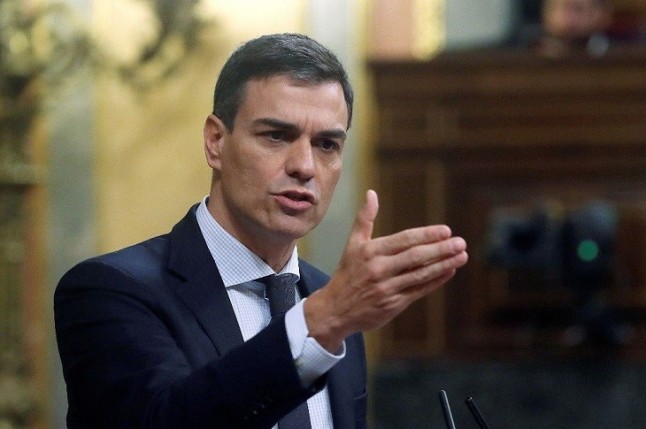 EQUO pide a Pedro Sánchez que priorice las políticas verdes