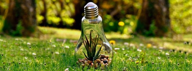 Conacyt y Semarnat lanzan convocatoria de investigación ambiental