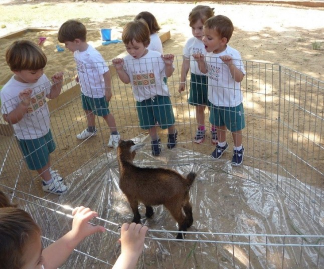LIBERA! critica el modelo de ciudad que propone el PP de Valladolid
