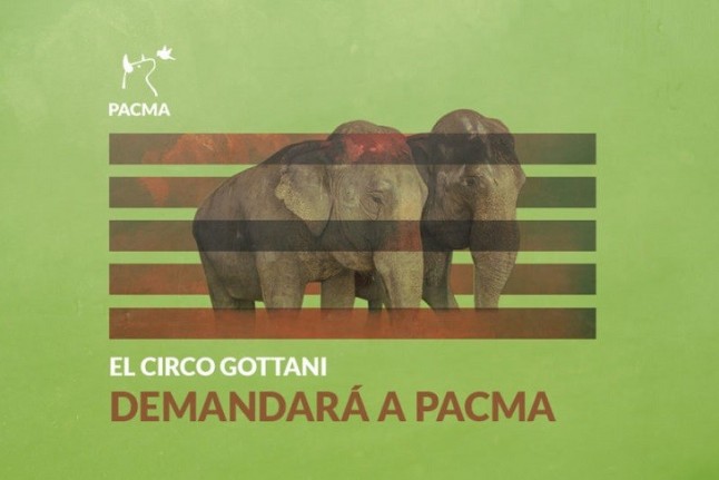 El circo Gottani arremete contra el PACMA