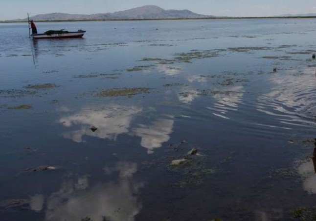 Nuevo mecanismo de emisión de gases invernadero en lagos de agua dulce